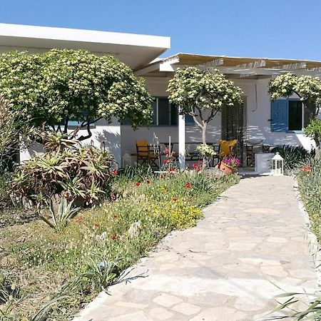 Anemos Seaside House Villa Skyros Exteriör bild